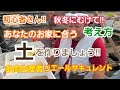【多肉植物】初心者さん‼️自分のお家に合う土を作りましょう🎵