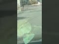Water main break sends geyser into air in Newark, New Jersey