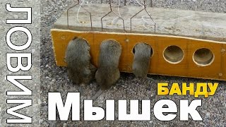 МЫШЕЛОВКА своими руками ПЯТИСТВОЛЬНАЯ