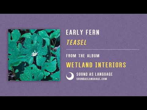 Early Fern Teasel 