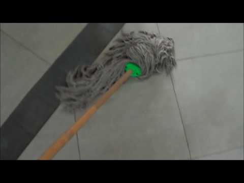 Video: Ajenjo De Pulgas En El Apartamento, Método De Preparación, Cómo Tratar Perros Y Gatos, Etc