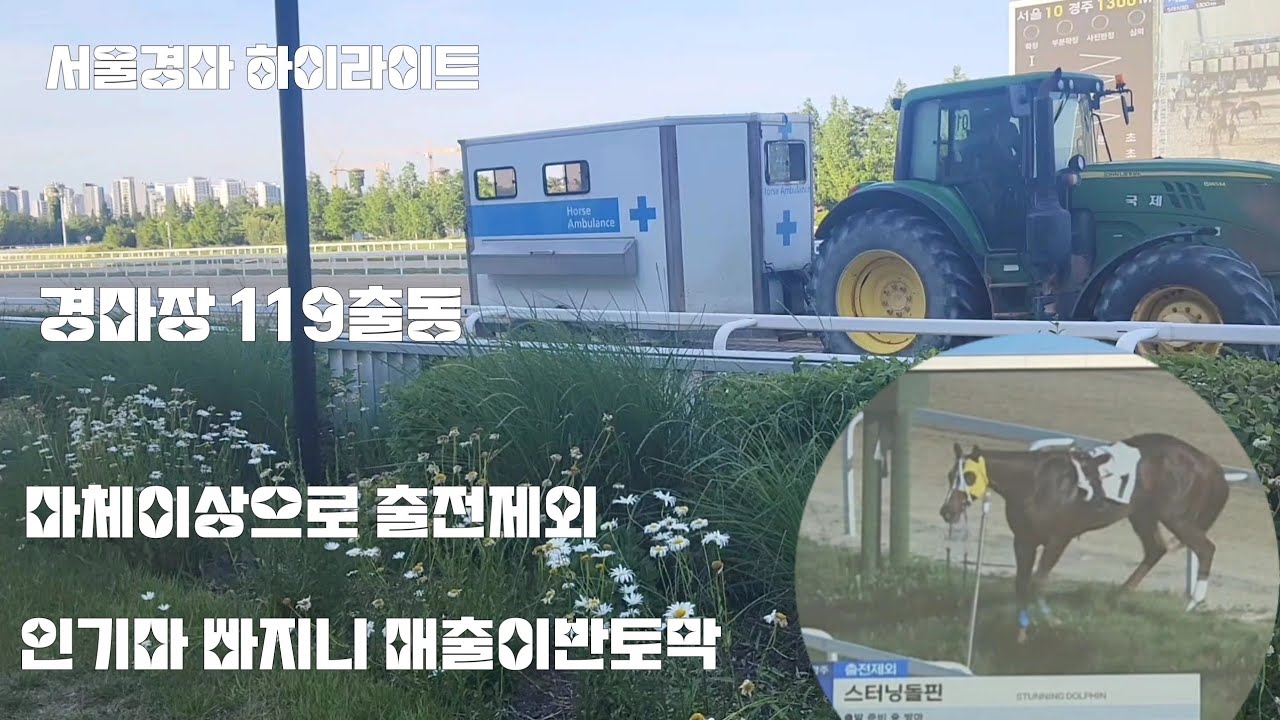 인기경주마 취소되니 매출이 반으로 확줄어드네~