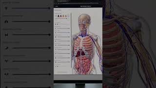 Lets study anatomy together#viralvideos #ai #tech #nothingimposibleinthisworld