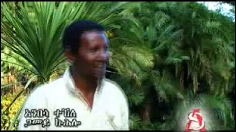 Gamey Kuhulo by Anbessa /Tigray
