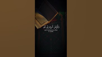 تلاوه من سورة غافر|بصوت الشيخ ياسر الدوسري🎧❤️#trending #quran #قران_كريم #راحة_نفسية #قرآن