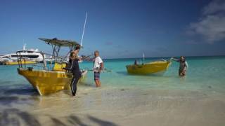Earth Expeditions: Perfect timing for CORAL