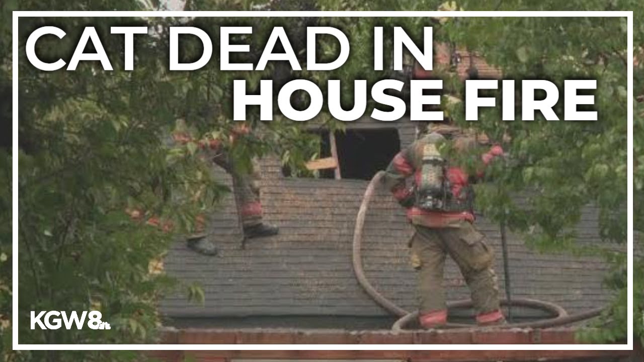 Woman, dog rescued from house fire in Southeast Portland - YouTube