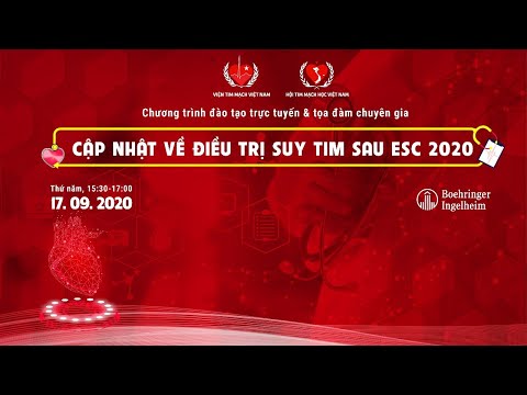 Video: Sốc Do Suy Tim ở Mèo