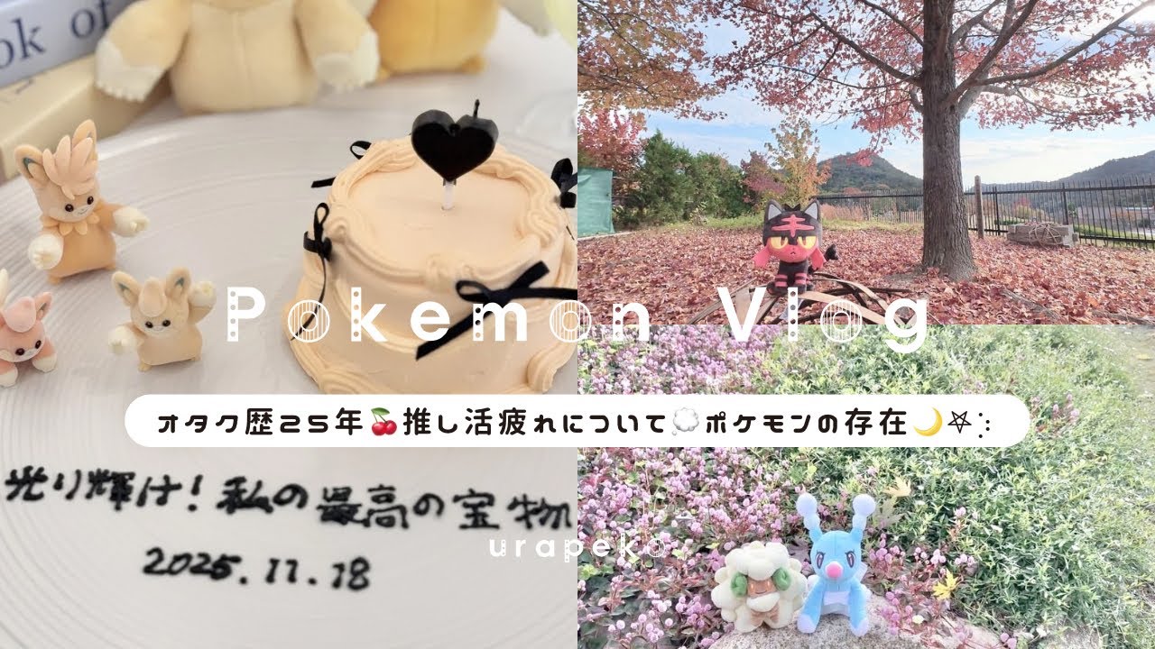 【推し疲れ】心が軽くなる方法5選┆オタクを辞めないために意識していること┆オタク歴25年主婦【Pokemon】