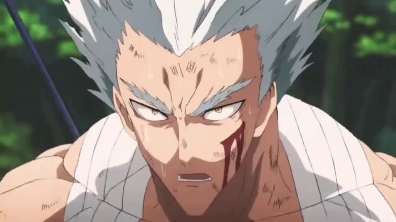 One Punch Man Suiryu Vs Garou
