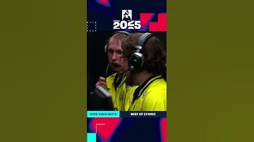 BEST of ZywOo | BLAST Premier Counter-Strike 2025