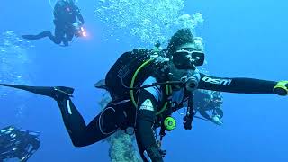 Download Lagu Diving in Larnaka - 2025 MP3 Download Lagu Diving in Larnaka - 2025 MP3