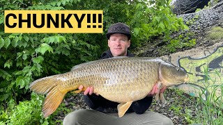 Early Hot Catfish Action Turns Into a BIG Carp Bite!