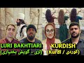 Similarities Between Kurdish and Luri (Bakhtiari dialect)