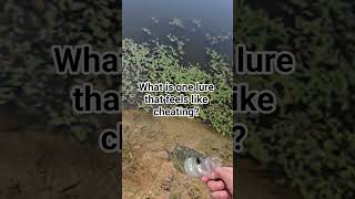 Famous what is it👇#bassfishing #jesus #fishing #fish #graygang Wealth