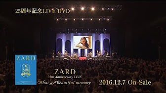 Zard 25th Anniversary Live Youtube