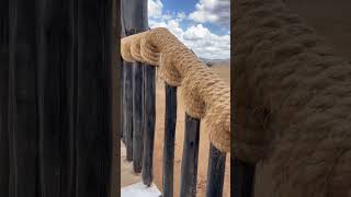 Salt Lick Safari Lodge - The View From The Bridge