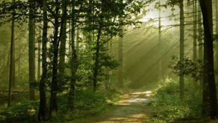 小路   口哨音乐