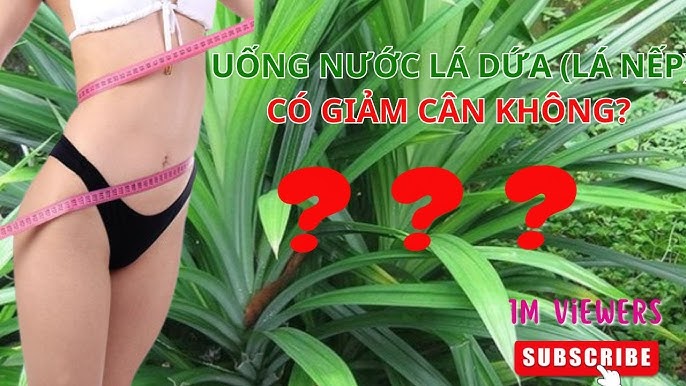 Các công thức giảm cân với lá dứa
