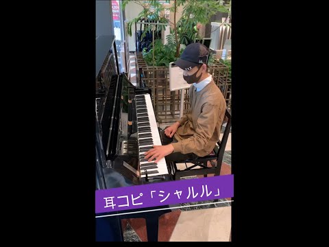 【シャルル】耳コピピアノ男子 #ひまわり音楽教室