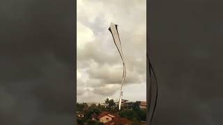 නය සරගල 2025 නගල