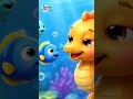 Blub Blub Little Fish Seahorse Song | Cute Sea Creatures Rhyme | #Shorts