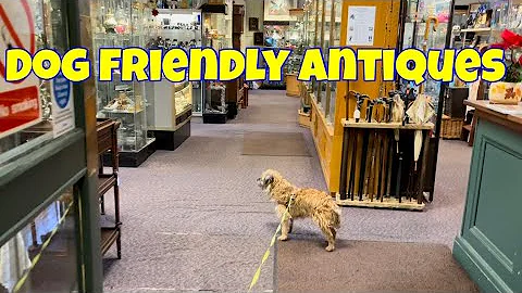 Vintage & Antique Finds / Walk Around / Barnard Ca...