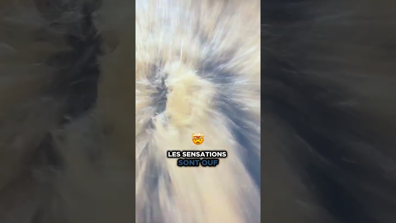 ⭐ Wave in Paris - Prendre la vague sur Paris ⭐