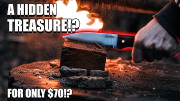 The Most Requested Knife Since we Started this Channel!!! Condor Bushlore!