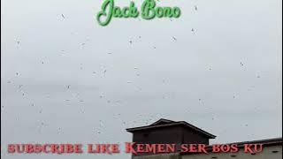 viral ini adalah suara walet yang di buat pertama di Indonesia