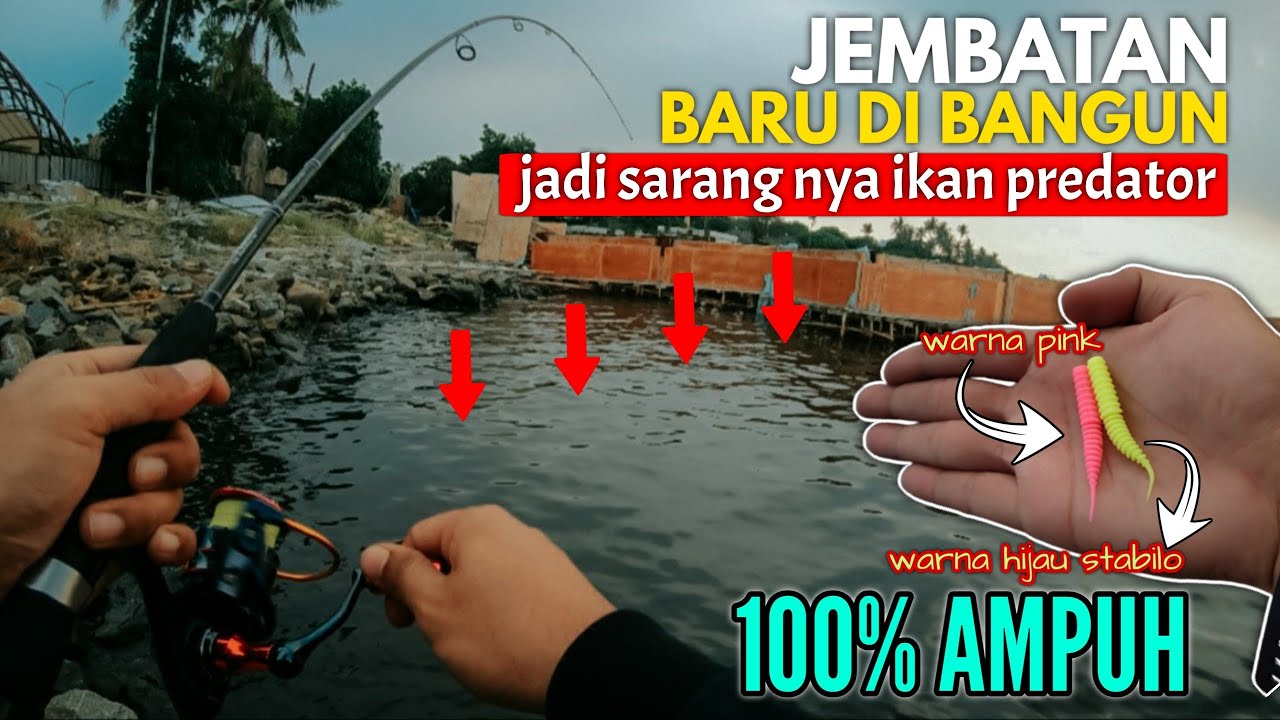 GAK NYANGKA // spot dekat bangunan masjid apung Ancol ikan nya gak habis-habis