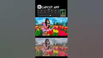 CINEMATIC COLOUR GRADING CAPCUT TUTORIAL #capcut #tutorial #shorts #shortvideo