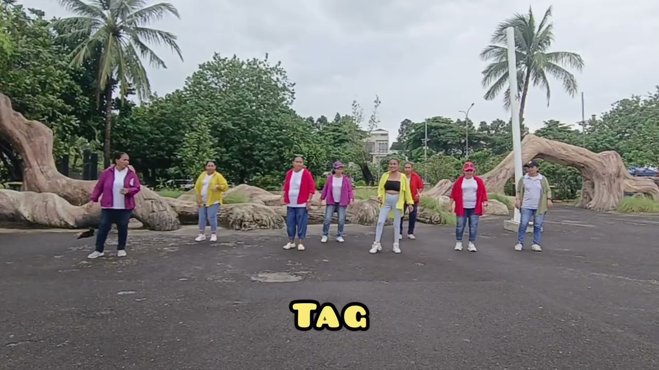 Tara  Mood Line Dance (Demo)