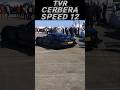 TVR Cerbera Speed 12 TVR Cerbera Speed 12