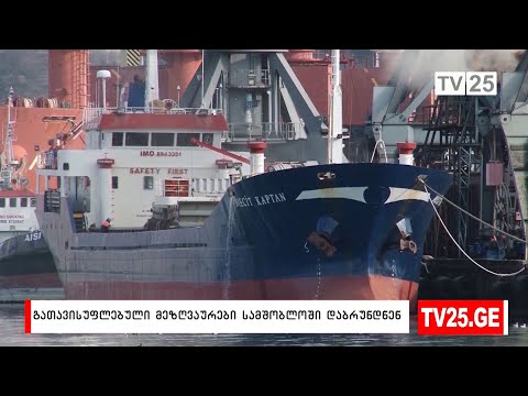 გათავისუფლებული მეზღვაურები სამშობლოში დაბრუნდნენ