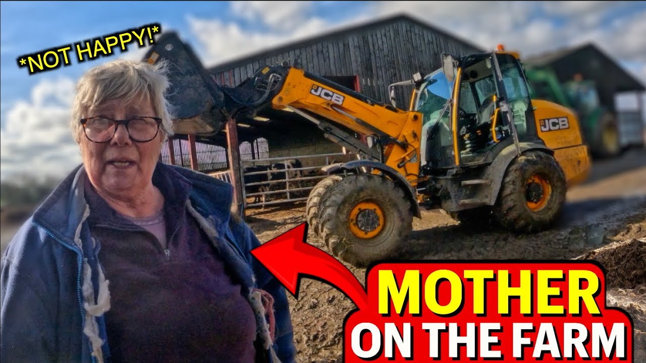 Did Last Years Grass Seeding Pay Off?!