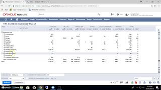 Netsuite   Looking up what is in Stock