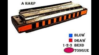 Tongue Blocking Riff 1 - Blues Harp - Beginning level chords