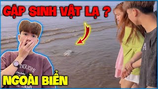 Vlog Ntn Đi Biển Sầm Sơn 3 Ngày 2 Đêm Cùng Ngọc Diễm Bất Ngờ Gặp Ngay Sinh Vật Lạ Và Cái Kết 