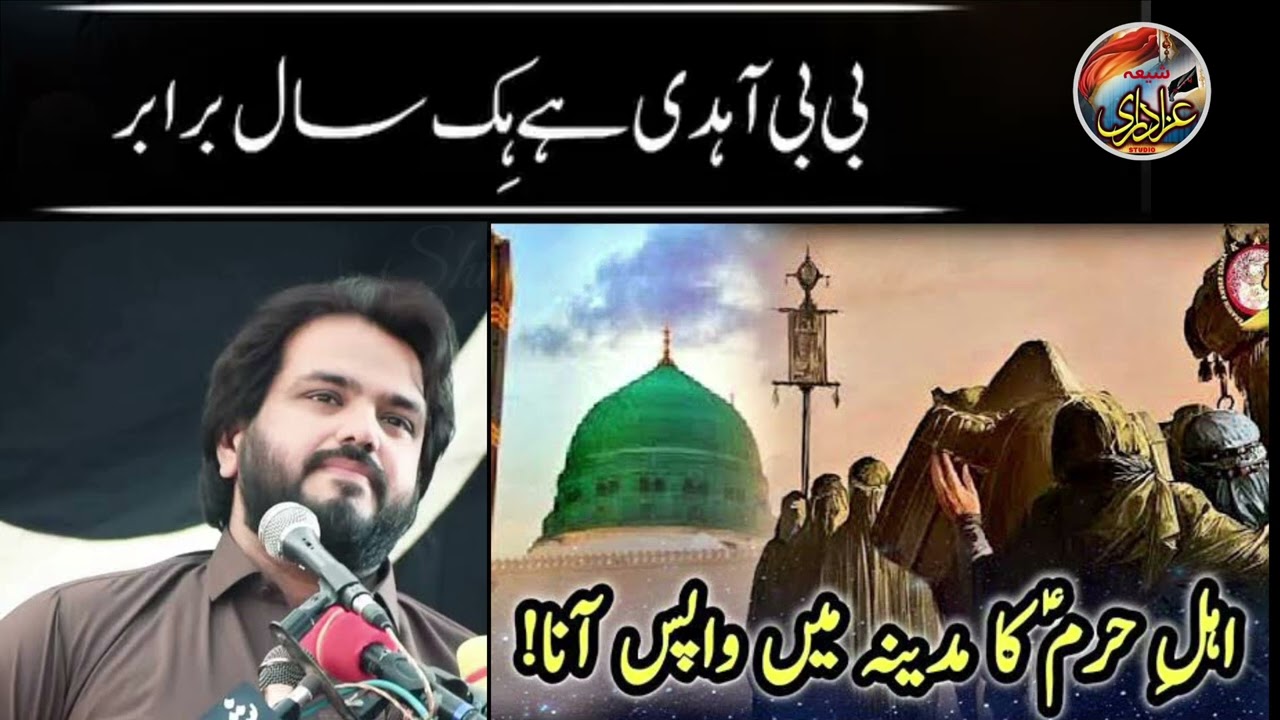 Karbala walon ki Madina Wapsi|Noha Watsap Status|Shia Azadari Studio|Zakir Najmal ul Hassan Sherazi