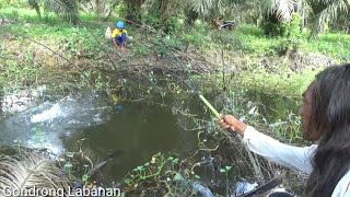 Sungguh di luar dugaan!! Niat mancing ikan nila dapet nya Babon Predator