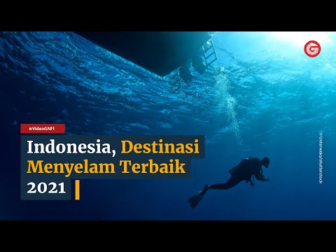 Video: Destinasi Selam Skuba Terbaik Dunia