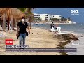 Новини світу: на мексиканському курорті просто на пляжі застрелили двох людей