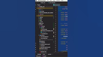 Flutter web app and animation loading  #fluttercourse #fluttertutorial #coding #learnflutter