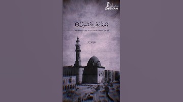 تلاوة نادرة لصياد القلوب الشيخ شعبان الصياد