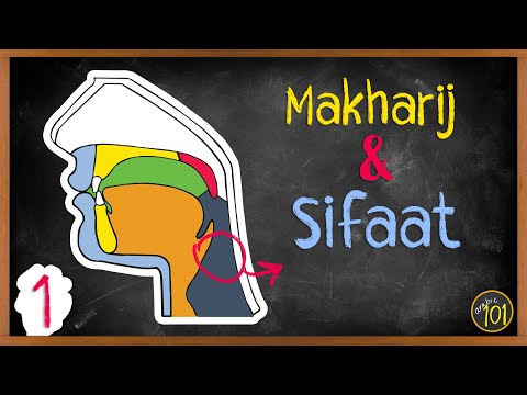 The EASIEST explanation for Makharij & Sifaat - Lesson 1 | Arabic101