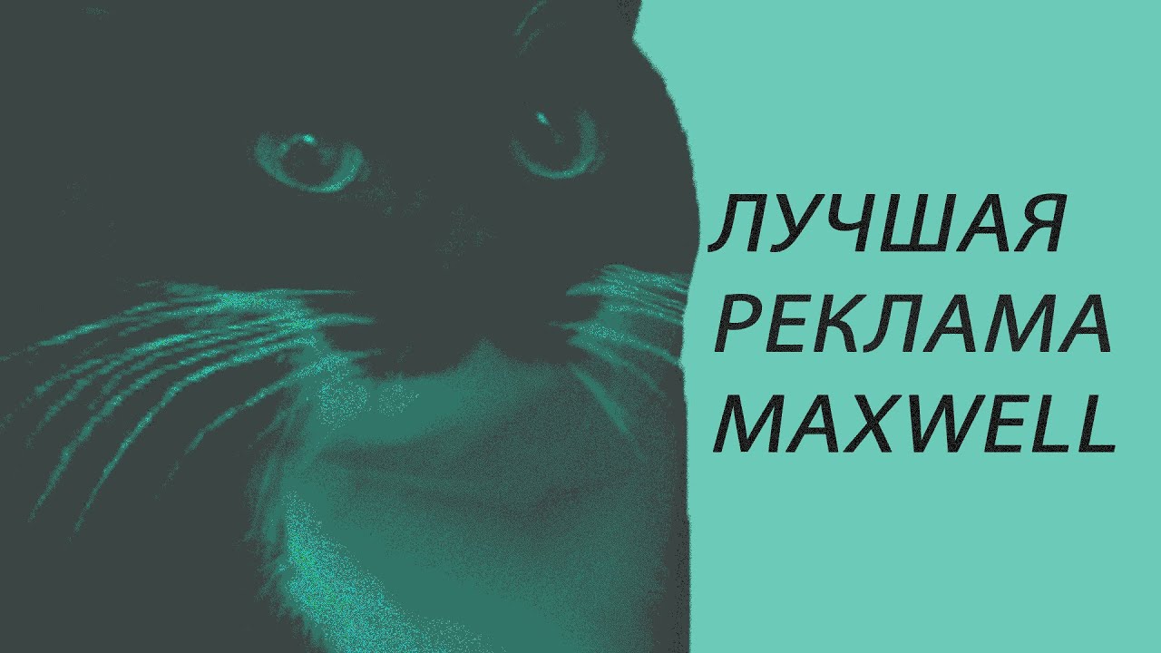 Максвелл мем. Maxwell кот. Максвелл кот Мем. Maxwell Cat на аву. Ава Maxwell кот.