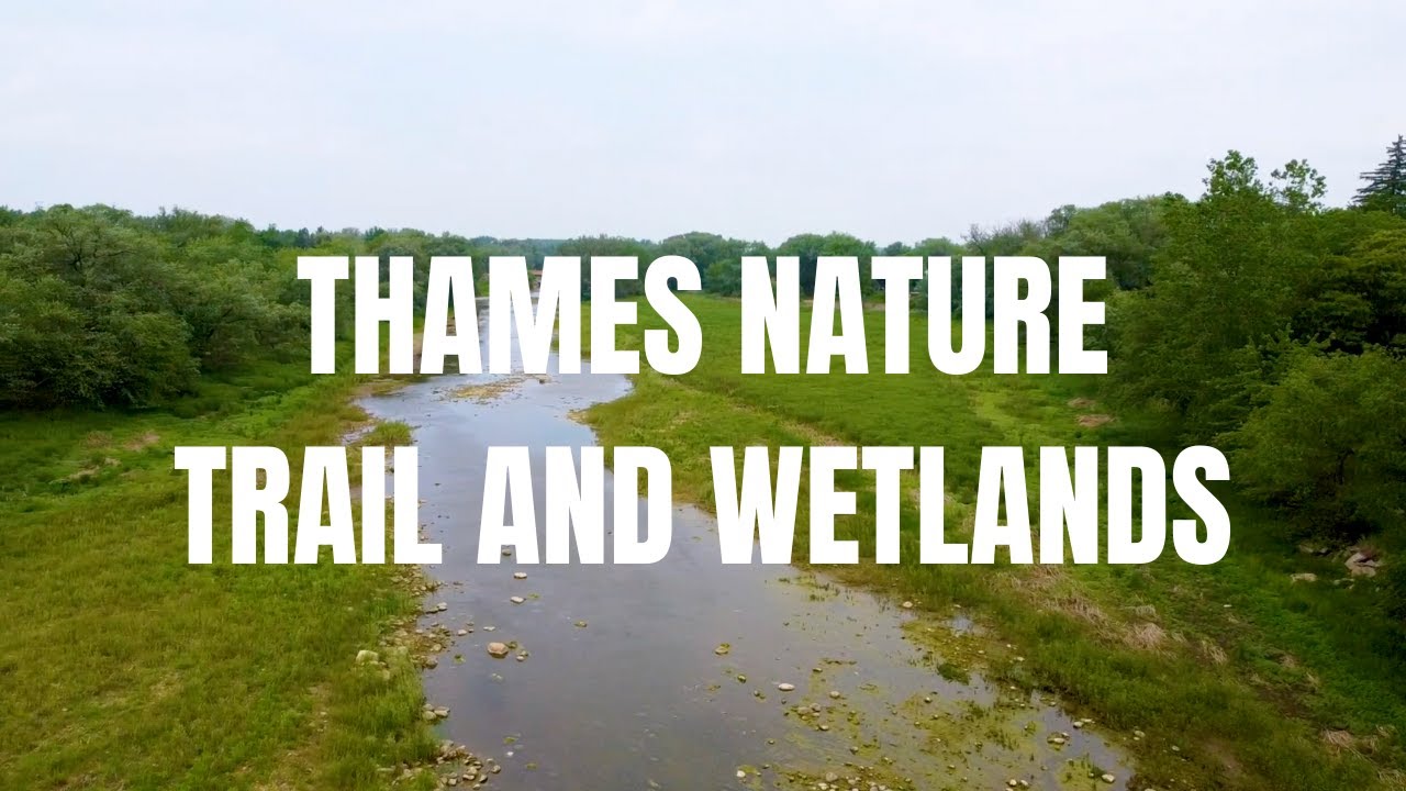 Perth County Trails - Thames Nature Trail & Wetlands