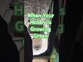 Grow Your Own Cannabis #zaza #new #plants #subscribe  #growyourown  #inspiration #youtubeshorts