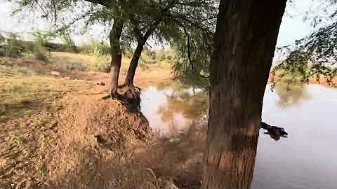 XXL XXL XXL XXL FREESTYLE 2024 |XXL 2025 💕| Xxwd5000xa | XXL XXL XXL XXL FREESTYLES